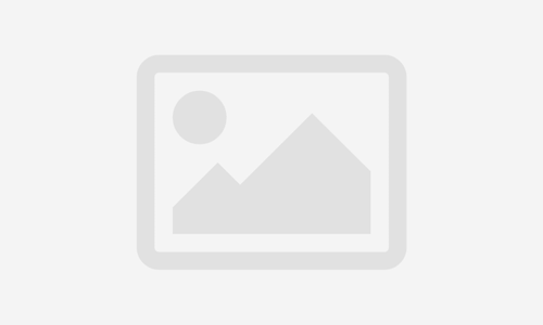 Advanced/Career Gemologist